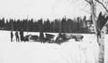 1943_Kapteeni_Pohja#3AB4035